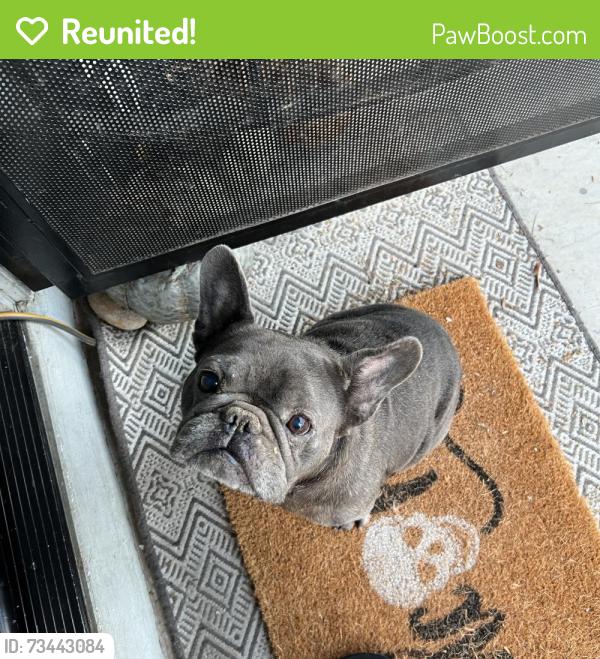 Reunited Female Dog last seen 55th st San Diego ca 92105, San Diego, CA 92105