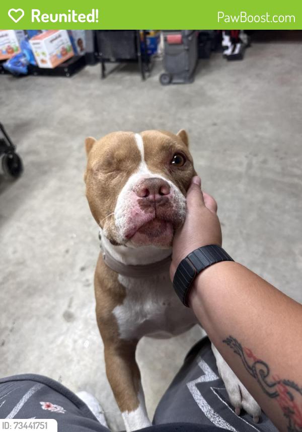Reunited Female Dog last seen Havenwood circle, Pittsburg, CA 94565