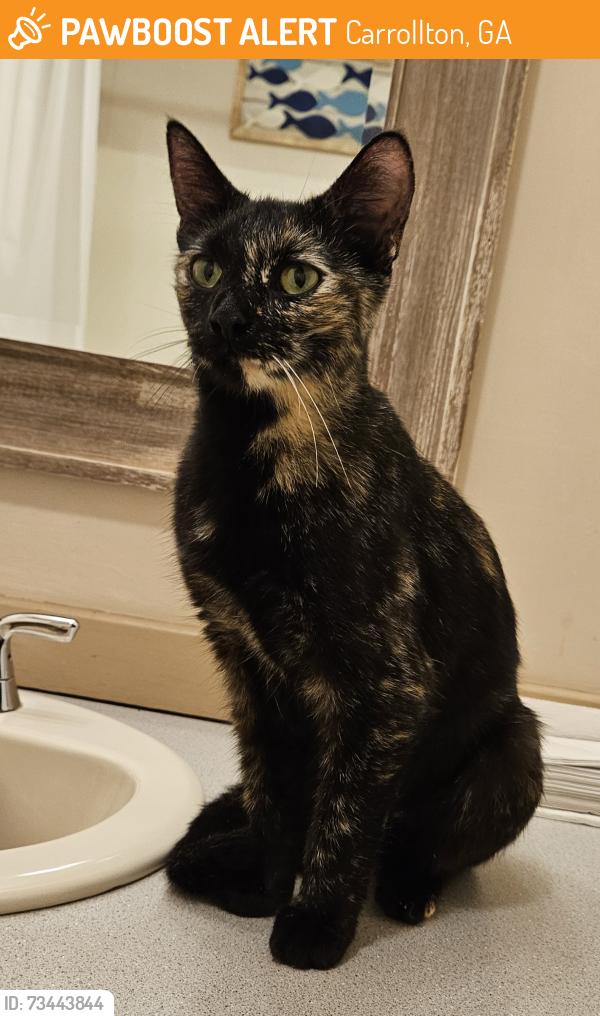 Found/Stray Female Cat last seen Timber Ridge Trail and Hwy 166 Carrollton, GA, Carrollton, GA 30117