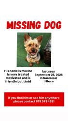 Lost Male Dog last seen Williams Rd, Singleton Rd, Gwinnett County, GA 30093