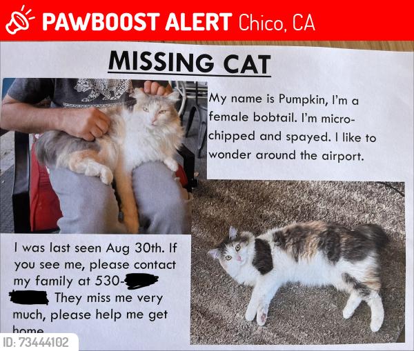 Lost Female Cat last seen Near marauder st & skycreek ct., Chico, CA 95973