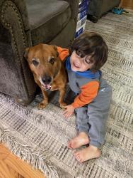 Lost Male Dog last seen Oakhurst and Tumbleweed, Cheyenne, WY 82009