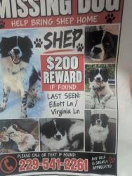 Lost Male Dog last seen Old coffee rd, Barney, GA 31625
