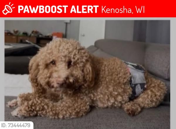 Lost Male Dog last seen 19th Avenue & 43rd St, Kenosha, WI 53140