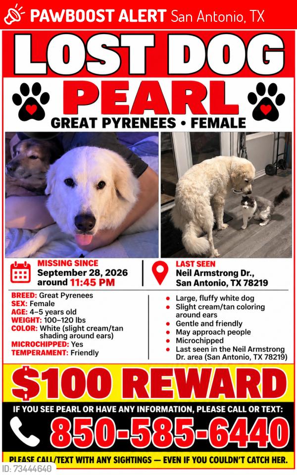 Lost Female Dog last seen Alan Shepard dr, Michael Collins dr, Cinderella st, San Antonio, TX 78219