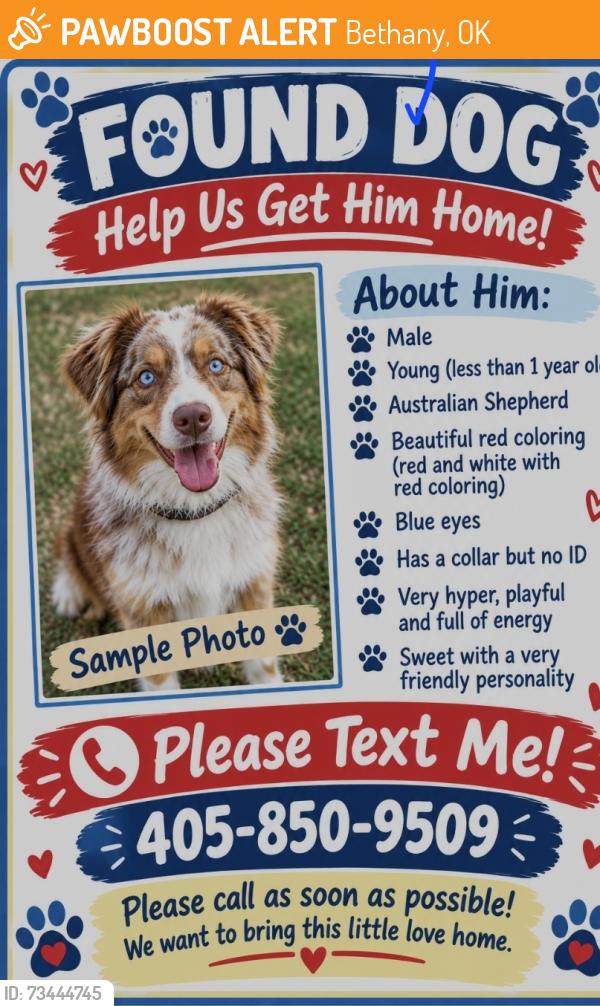 Found/Stray Male Dog last seen 10th macarthur, Bethany, OK 73008