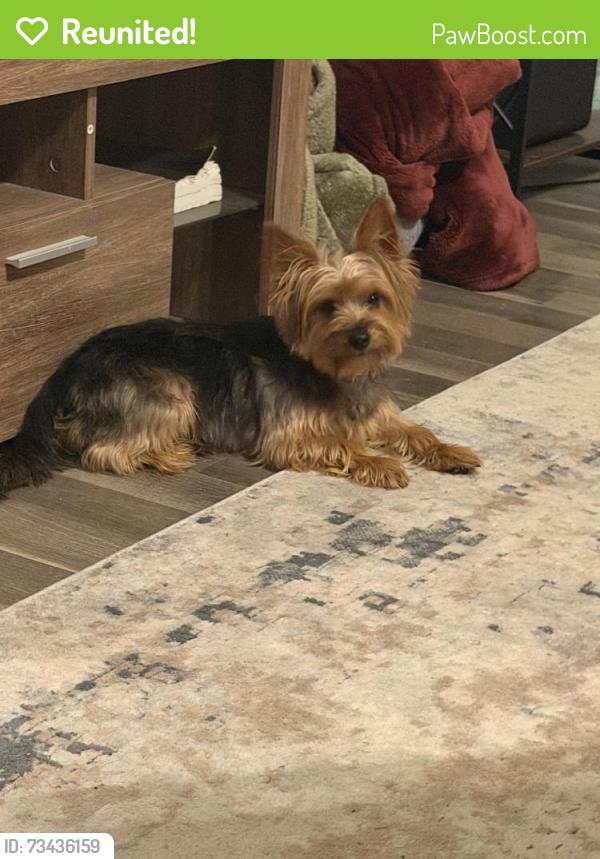 Reunited Male Dog last seen Telge, Cypress, TX 77429