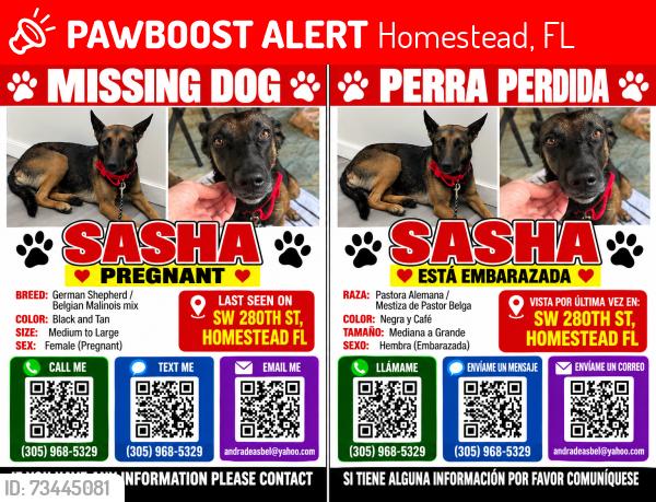 Lost Female Dog last seen sw 202nd ave and sw 280 st, Homestead, FL 33031