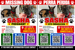 Lost Female Dog last seen sw 202nd ave and sw 280 st, Homestead, FL 33031