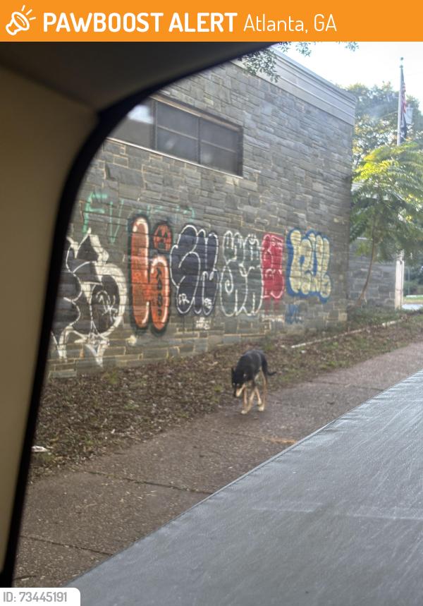 Found/Stray Male Dog last seen Glenwood ave, Atlanta, GA 30310