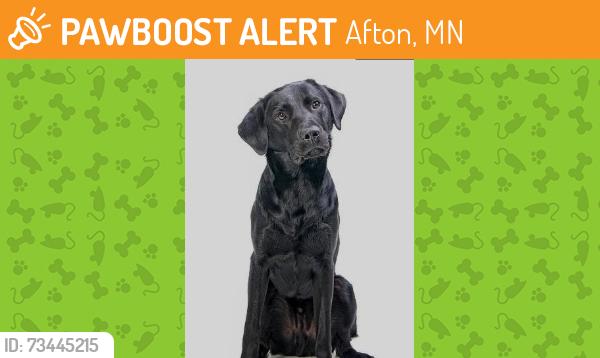 Found/Stray Unknown Dog last seen Hudson Rd & Manning (95), Afton, MN 55001