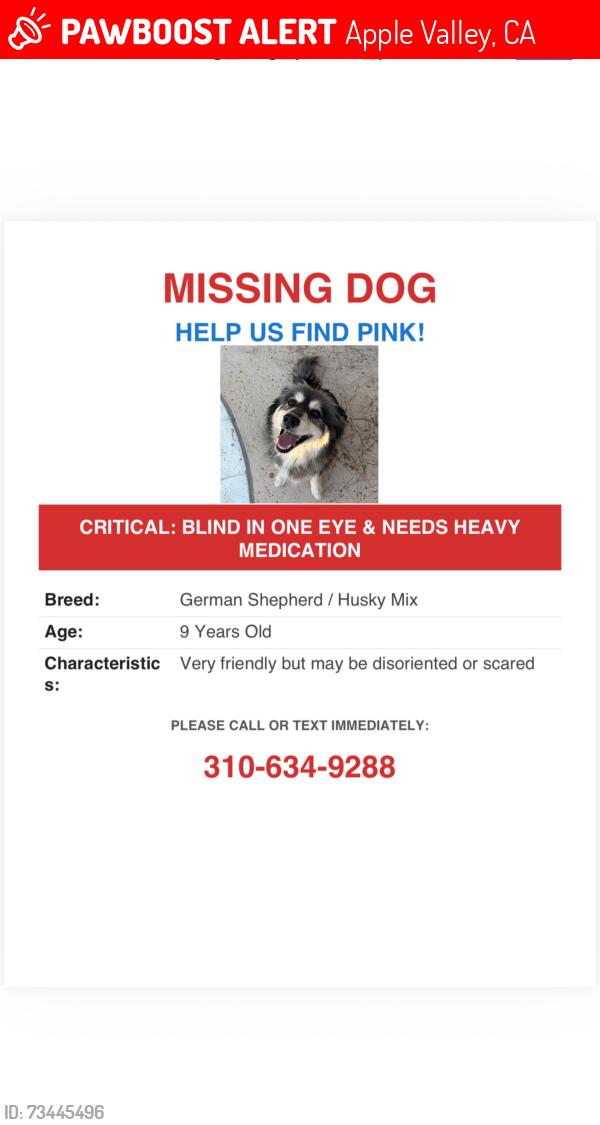 Lost Female Dog last seen Lookout rd, Apple Valley, CA 92307