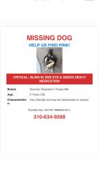 Lost Female Dog last seen Lookout rd, Apple Valley, CA 92307