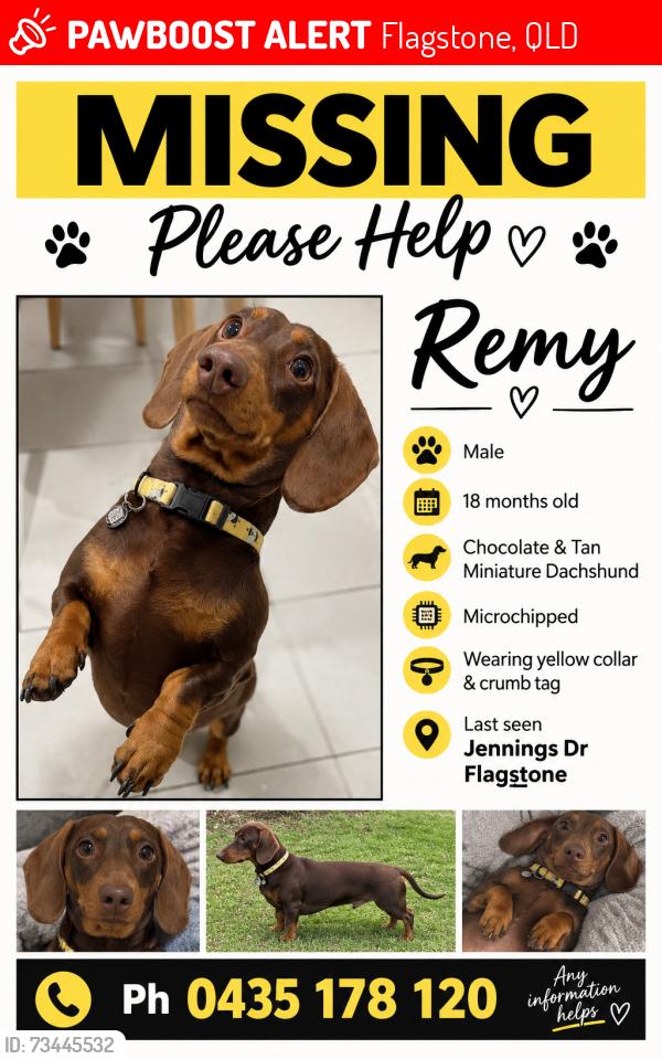 Lost Male Dog last seen Trailblazer, Flagstone, QLD 4280