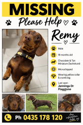 Lost Male Dog last seen Trailblazer, Flagstone, QLD 4280