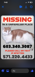 Lost Male Cat last seen Motel 6, Dumfries, VA 22025