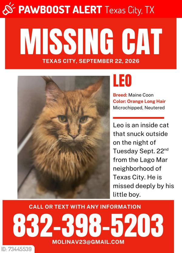 Lost Male Cat last seen Near Bayrose dr., Texas City, TX 77568