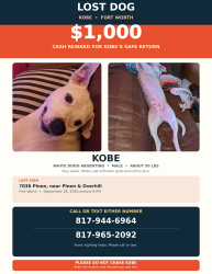 Lost Male Dog last seen Pinon Street & Overhill Drive, Fort Worth, TX 76116