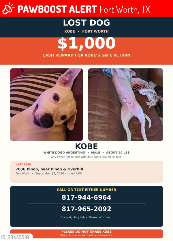 Lost Male Dog last seen Pinon Street & Overhill Drive, Fort Worth, TX 76116
