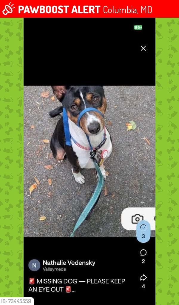 Lost Male Dog last seen Bark Social, Columbia, MD 21044