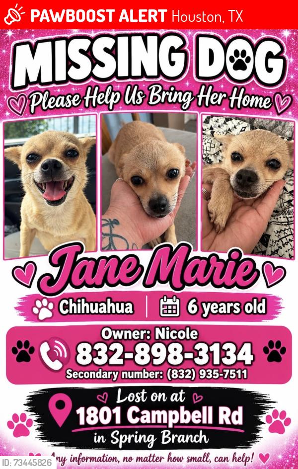 Lost Female Dog last seen Longpoint and Campbrll, Houston, TX 77080