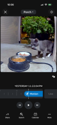Found/Stray Unknown Cat last seen S.Tamarac St. & E. Jewell Ave, Denver, CO 80224