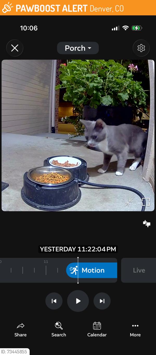 Found/Stray Unknown Cat last seen S.Tamarac St. & E. Jewell Ave, Denver, CO 80224