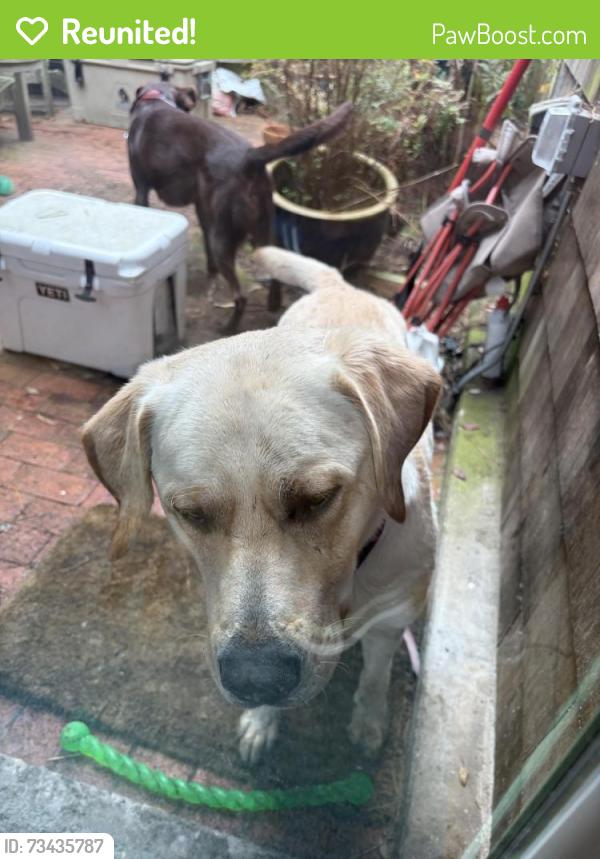 Reunited Male Dog last seen Near San Marcos Avenue, San Francisco, CA 94127