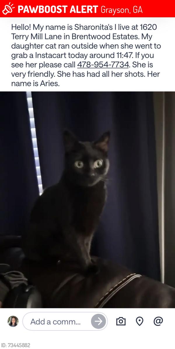 Lost Female Cat last seen Hey 84 Grayson Parkway, Grayson, GA 30017