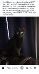 Lost Female Cat last seen Hey 84 Grayson Parkway, Grayson, GA 30017
