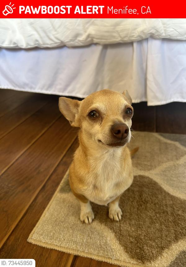 Lost Male Dog last seen Byers and Adjer, Menifee, CA 92584