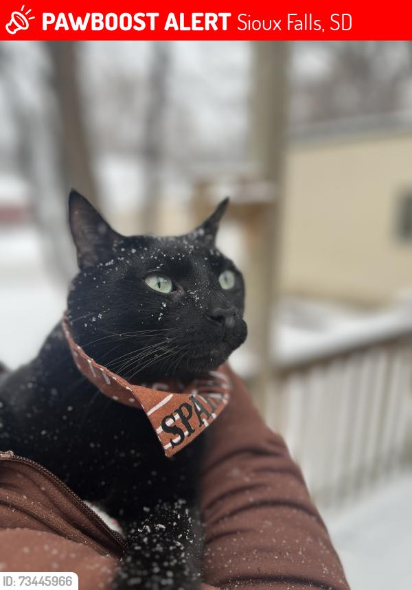 Lost Male Cat last seen Near sanford, Sioux Falls, SD 57105