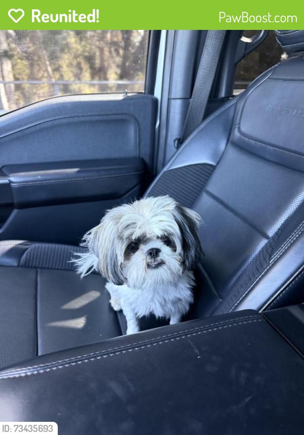 Reunited Female Dog last seen Naples, Chula Vista, CA 91911