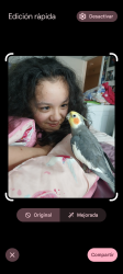 Lost Male Bird last seen Jackson st,shaver and Richey st, Pasadena, TX 77506