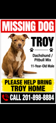 Lost Male Dog last seen Communipaw ave, Jersey City, NJ 07304