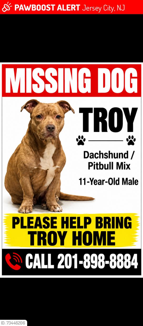 Lost Male Dog last seen Communipaw ave, Jersey City, NJ 07304