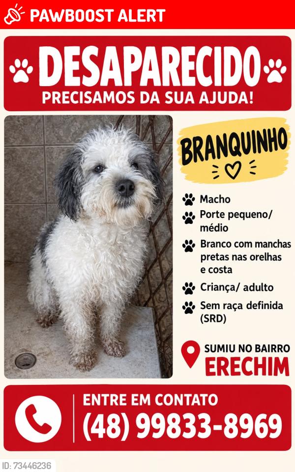 Lost Male Dog last seen Bairro Erechim rua Guilherme Becker, Balneário Arroio do Silva, SC 88914-000