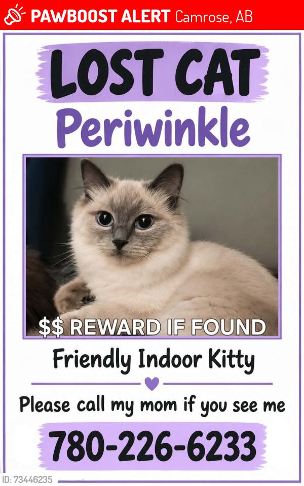 Lost Female Cat last seen Near sparling school, Camrose, AB 