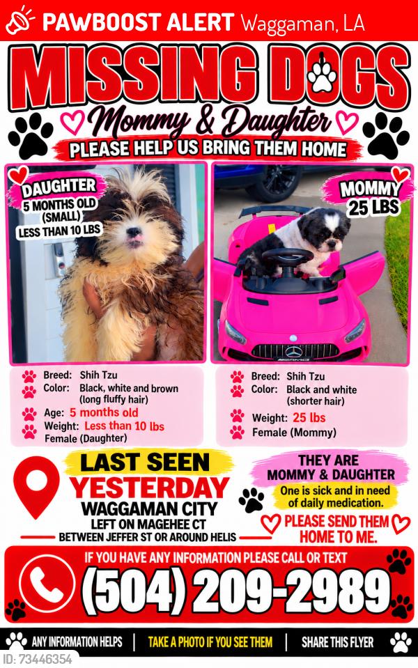 Lost Female Dog last seen Dandelion drive, Waggaman, LA 70094