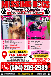 Lost Female Dog last seen Dandelion drive, Waggaman, LA 70094
