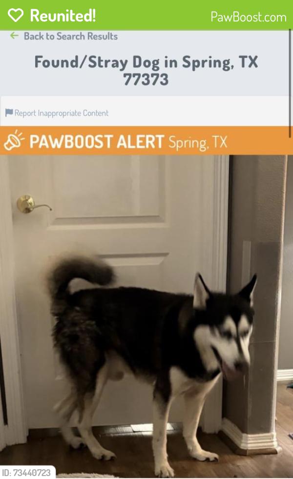 Reunited Male Dog last seen Cypresswood and Birnamwood, Spring, TX 77373