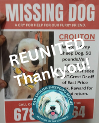 Reunited Female Dog last seen Mt. Crest Dr. Jasper GA (at a horse farm), E Price Creek Rd, GA 30143