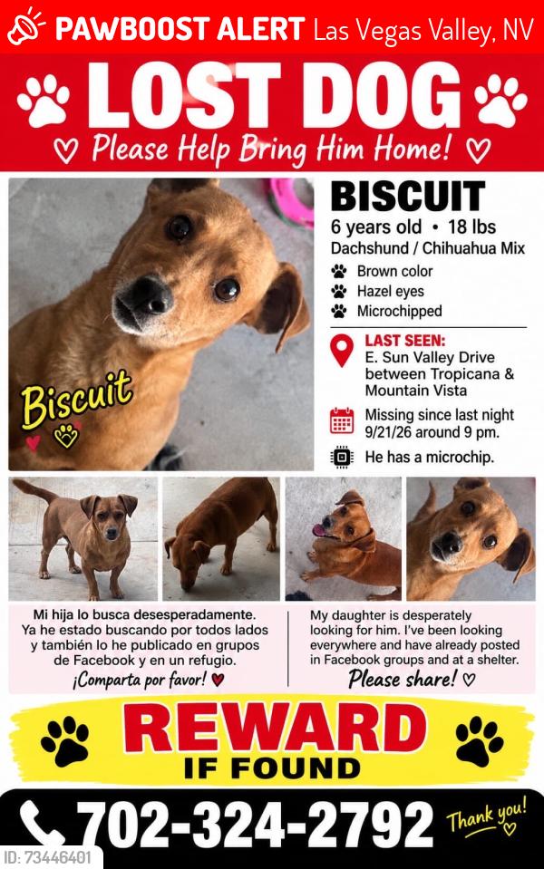 Lost Male Dog last seen Mountain Vist and Sun Valley Dr, Las Vegas Valley, NV 89121