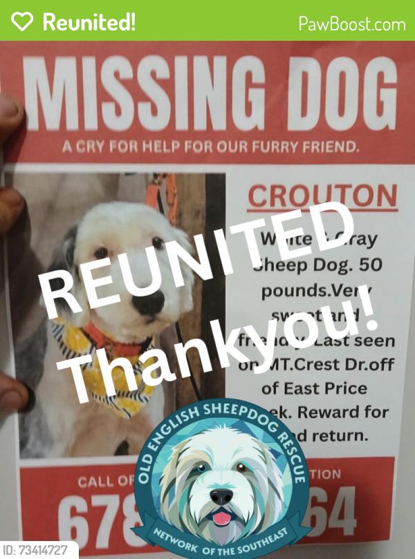 Reunited Female Dog last seen Mt. Crest Dr. Jasper GA (at a horse farm), E Price Creek Rd, GA 30143