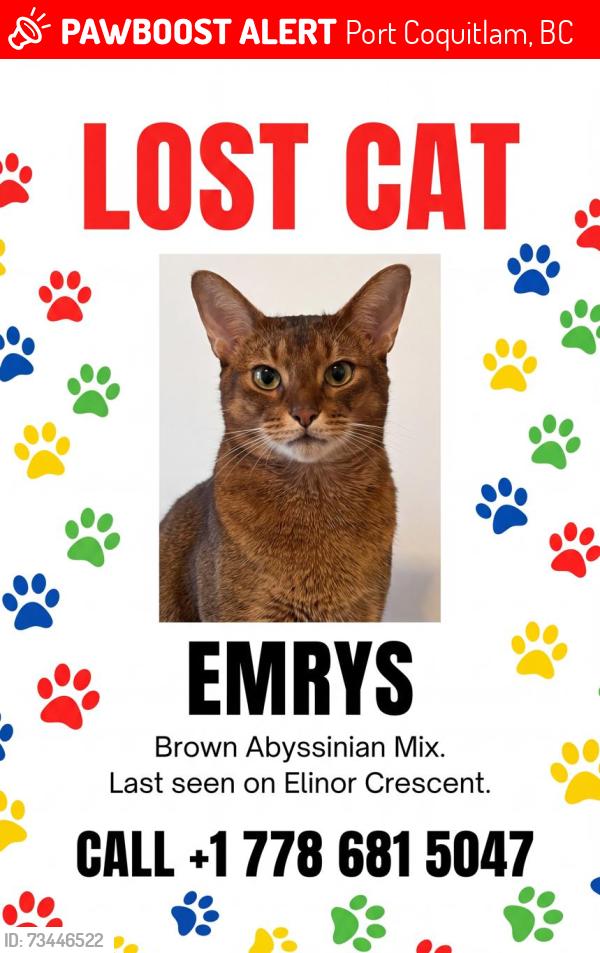 Lost Male Cat last seen Mary Hill, Port Coquitlam, BC 