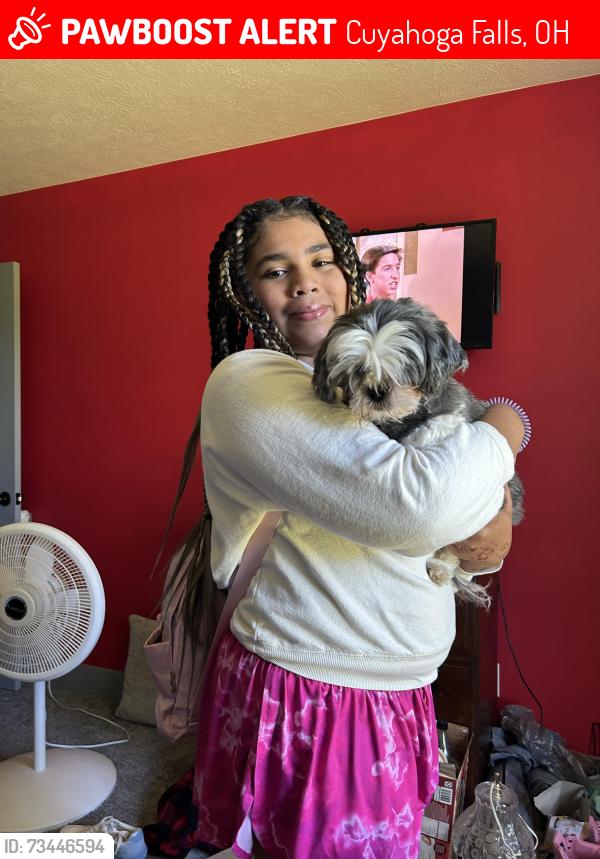 Lost Female Dog last seen Board drive, Cuyahoga Falls, OH 44223
