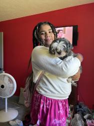 Lost Female Dog last seen Board drive, Cuyahoga Falls, OH 44223