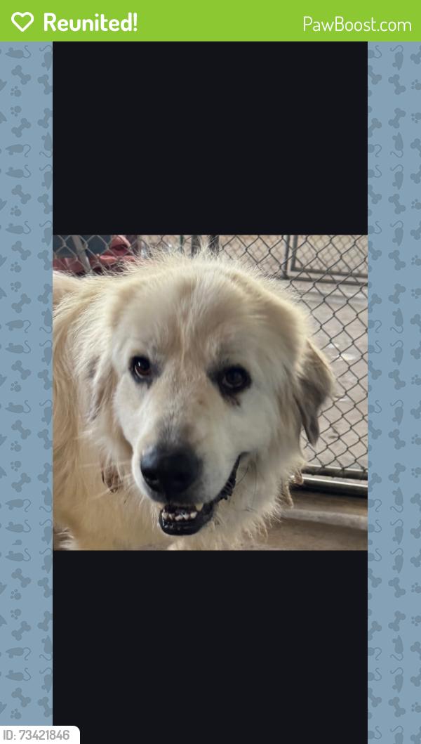 Reunited Male Dog last seen MoheganTrial and Elks, Las Cruces, NM 88005