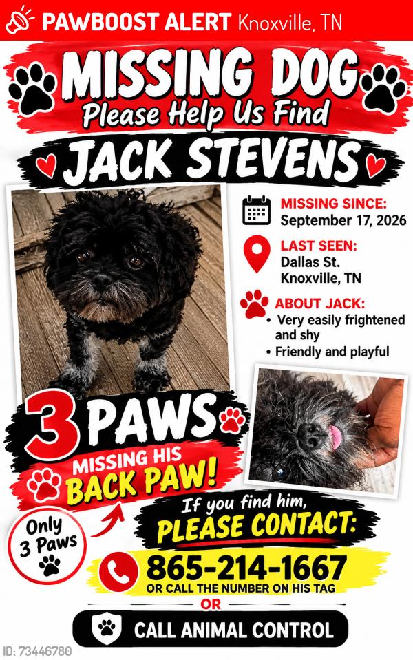 Lost Male Dog last seen Dallas ave Knoxville tn, Knoxville, TN 37914