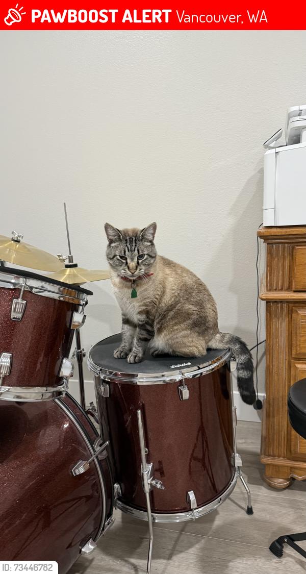 Lost Male Cat last seen Near Ave, Vancouver, WA 98683